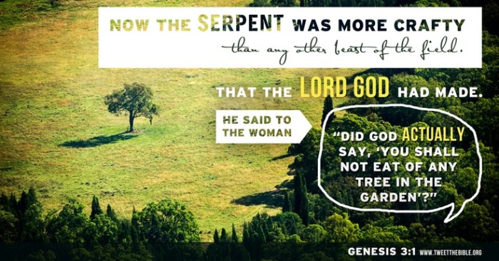 73edae9484f410f3bf49358246e90fa5